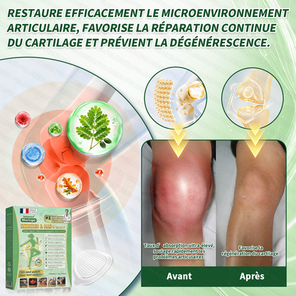 Boutique Officielle 🇫🇷 | ✅️ Patch Minceur Solaroza® 10-en-1 : Relancez le Métabolisme et Brûlez les Graisses (NAD+ & Berbérine)